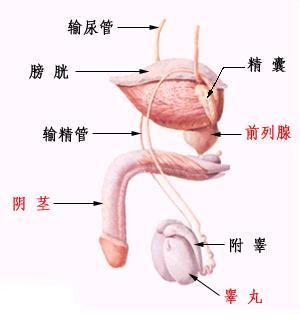 点击图片更具体的免费了解